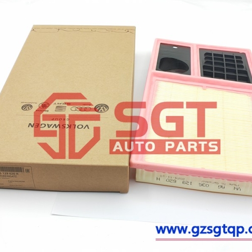 036129620H/空气过滤器/GENUINE OEM VW AUDI SKODA SEAT Air Filter 036129620H