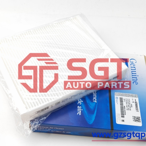 42666227/空气滤清器/GM OEM 16-22 Spark Evaporator Heater Components-Air Filter 42666227